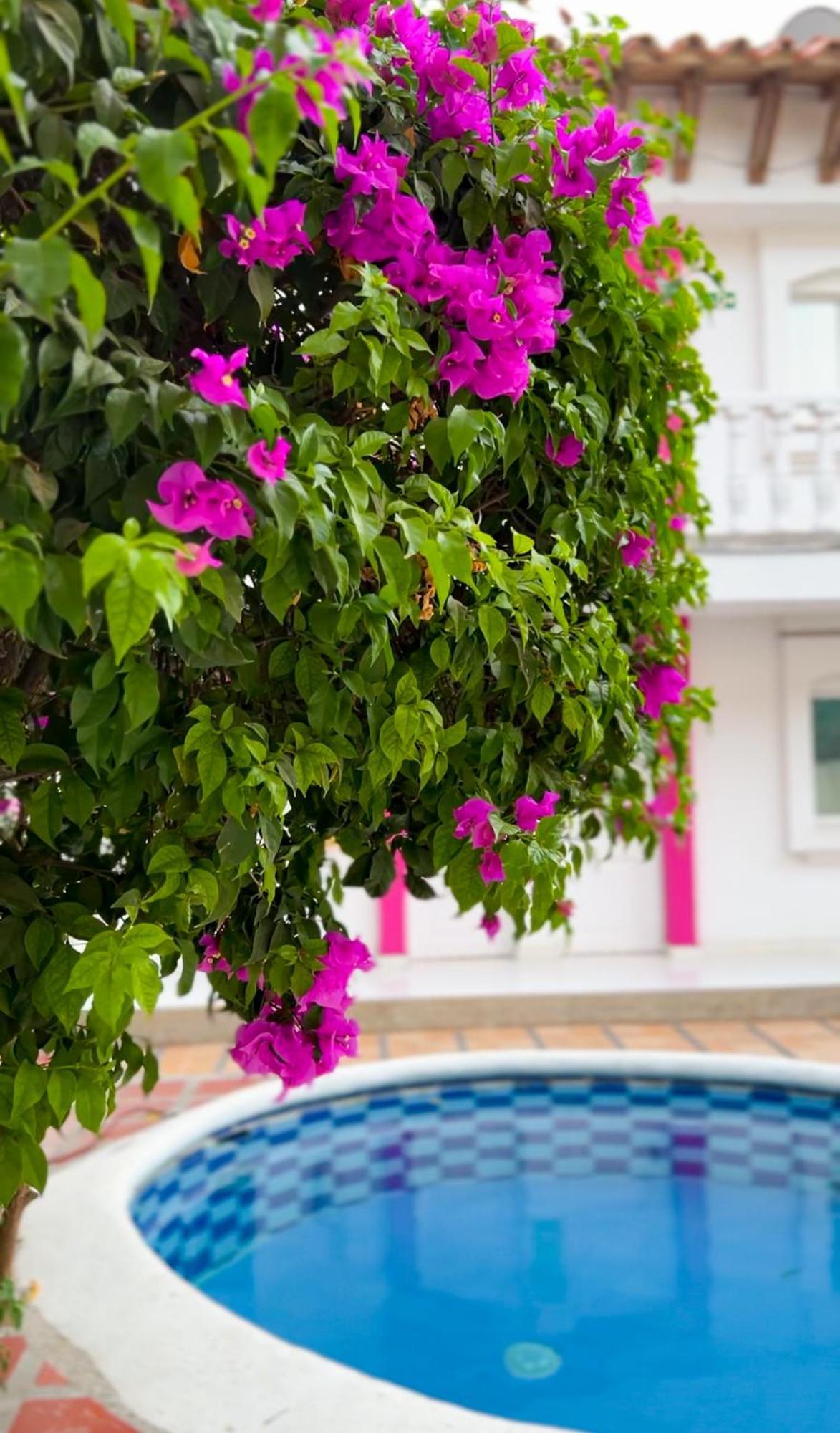 Ayenda Casa Grande Otel Ríohacha Dış mekan fotoğraf